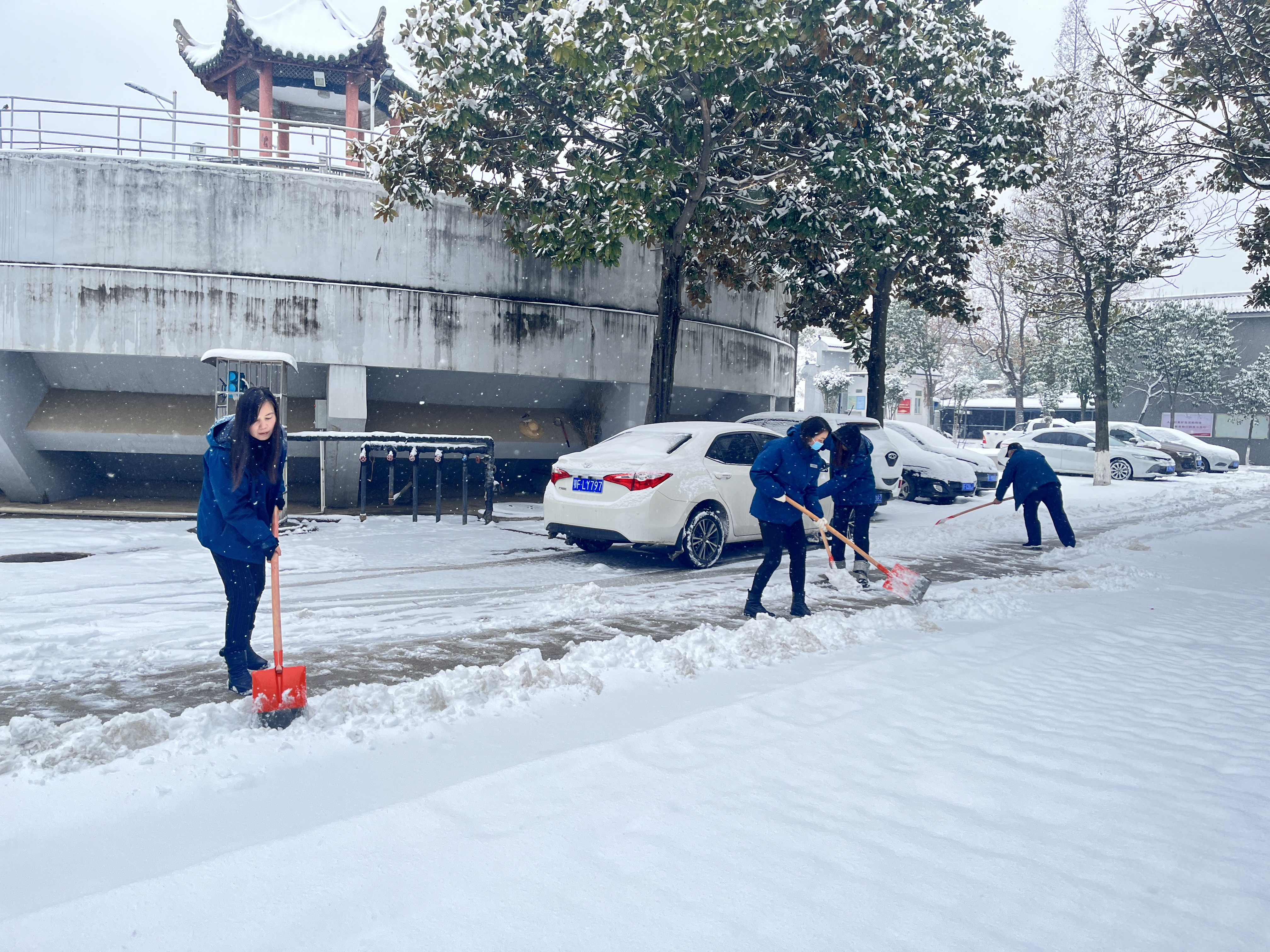 大雪来袭  逆雪而行 ——襄阳中环球王会平台有限公司抗击冰雪在行动